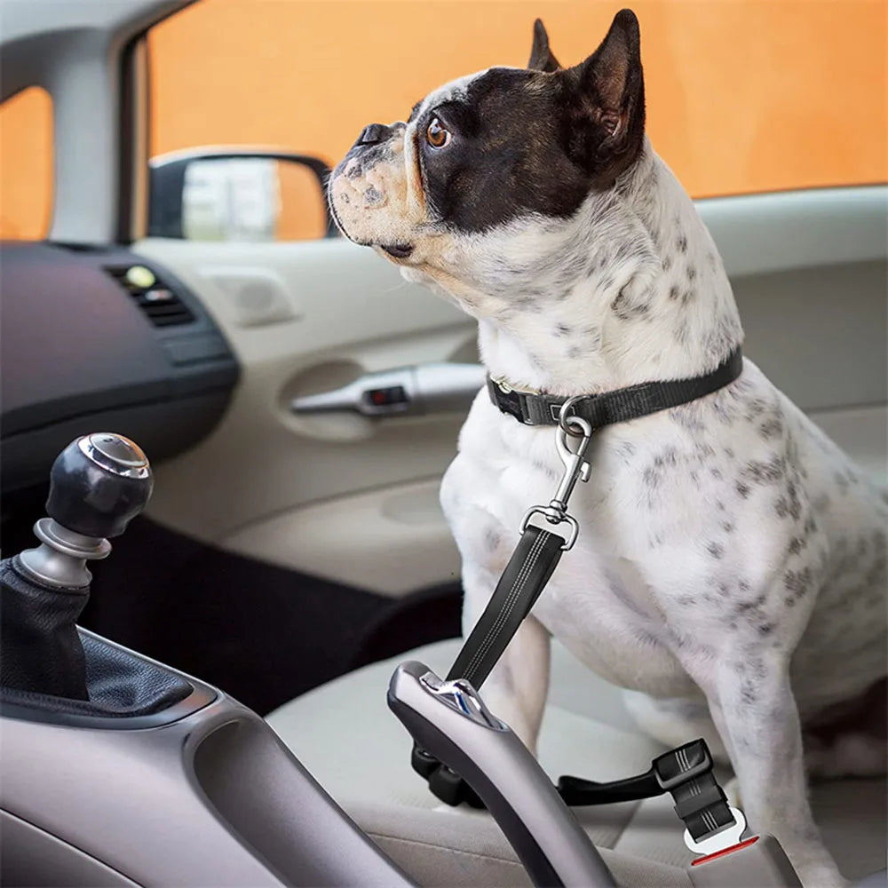 SafeRide™ Adjustable Dog Car Seat Belt – Pet Safety Harness Clip for Cars