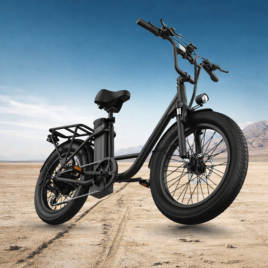 URLIFE E20 1000W Fat Tire Electric Bike