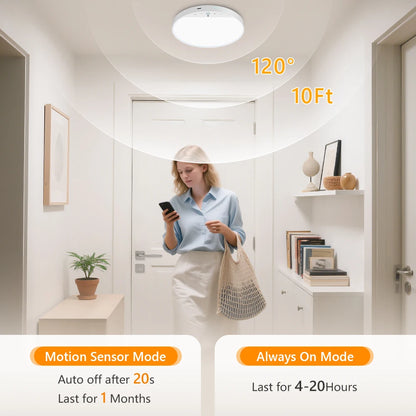 LumaSense™ Magnetic Motion Sensor Ceiling Light
