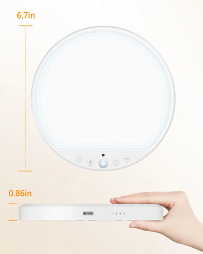 LumaSense™ Magnetic Motion Sensor Ceiling Light