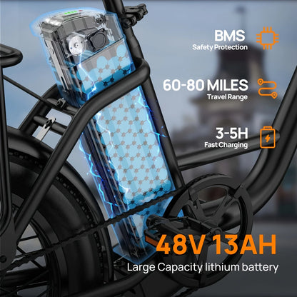 URLIFE E20 1000W Fat Tire Electric Bike