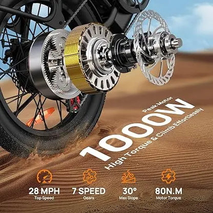 URLIFE E20 1000W Fat Tire Electric Bike