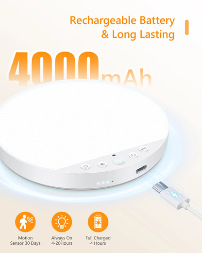 LumaSense™ Magnetic Motion Sensor Ceiling Light