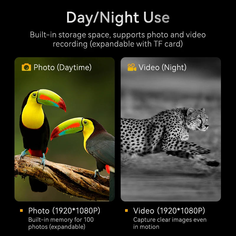 TrailView™ 1080P Night Vision Binoculars – 800m Infrared Range & 2.8” Screen