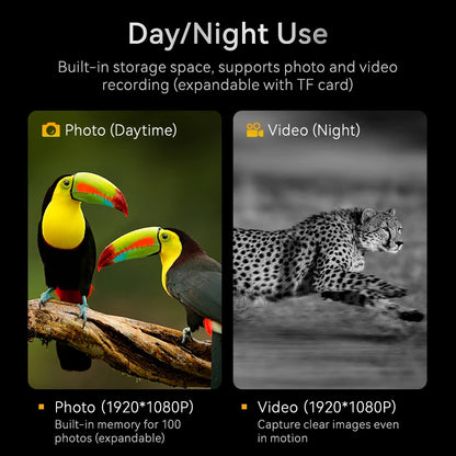 TrailView™ 1080P Night Vision Binoculars – 800m Infrared Range & 2.8” Screen