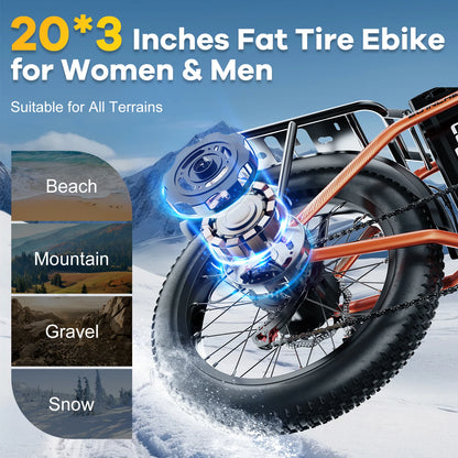 Cybervelo EK4 1000W Folding Electric Bike