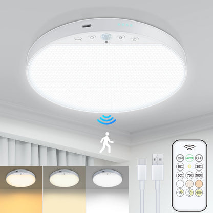 LumaSense™ Magnetic Motion Sensor Ceiling Light