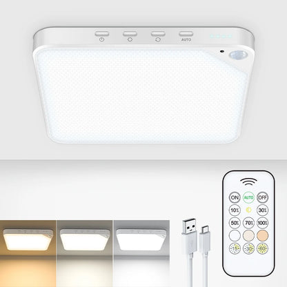 LumaSense™ Magnetic Motion Sensor Ceiling Light