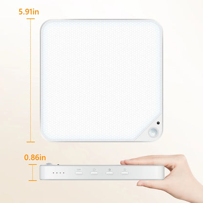 LumaSense™ Magnetic Motion Sensor Ceiling Light