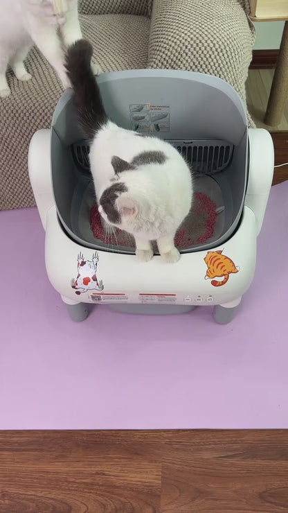 LitterLock™ Cat Litter Mat – Traps Mess & Keeps Floors Clean