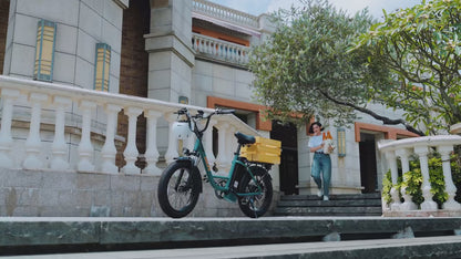 URLIFE E20 1000W Fat Tire Electric Bike